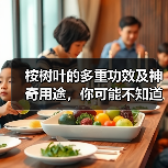 桉树叶的多重功效及神奇用途,你可能不知道!(图1) 桉树叶的多重功效及神奇用途,你可能不知道!(图1)