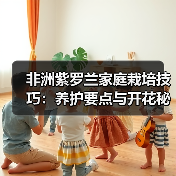 非洲紫罗兰家庭栽培技巧:养护要点与开花秘诀(图4) 非洲紫罗兰家庭栽培技巧:养护要点与开花秘诀(图4)