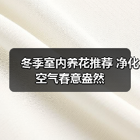 冬季室内养花推荐 净化空气春意盎然(图2) 冬季室内养花推荐 净化空气春意盎然(图2)