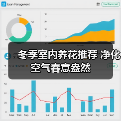 冬季室内养花推荐 净化空气春意盎然(图4) 冬季室内养花推荐 净化空气春意盎然(图4)