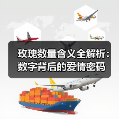 玫瑰数量含义全解析:数字背后的爱情密码(图1) 玫瑰数量含义全解析:数字背后的爱情密码(图1)