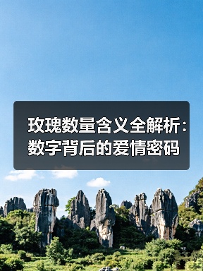 玫瑰数量含义全解析:数字背后的爱情密码(图2) 玫瑰数量含义全解析:数字背后的爱情密码(图2)