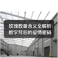 玫瑰数量含义全解析:数字背后的爱情密码(图4) 玫瑰数量含义全解析:数字背后的爱情密码(图4)
