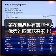 茶花新品种有哪些惊人优势?四季花开不止!(图2) 茶花新品种有哪些惊人优势?四季花开不止!(图2)