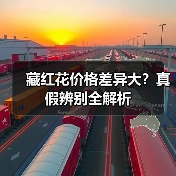 藏红花价格差异大?真假辨别全解析(图4) 藏红花价格差异大?真假辨别全解析(图4)