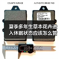 夏季多年生草本花卉进入休眠状态应该怎么管理（图1）