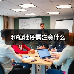 种植牡丹需注意什么(图1) 种植牡丹需注意什么(图1)
