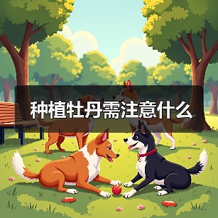 种植牡丹需注意什么(图3) 种植牡丹需注意什么(图3)