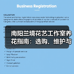 南阳兰境花艺工作室养花指南：选购、维护与常见问题解析（图2）