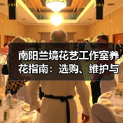 南阳兰境花艺工作室养花指南：选购、维护与常见问题解析（图3）