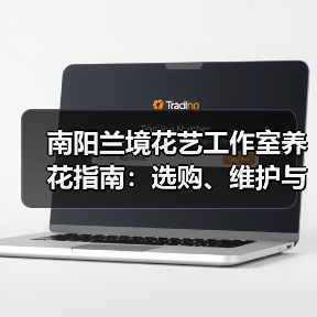 南阳兰境花艺工作室养花指南：选购、维护与常见问题解析（图4）