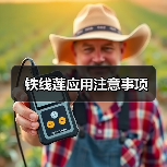 铁线莲应用注意事项（图1）