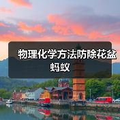 物理化学方法防除花盆蚂蚁(图3) 物理化学方法防除花盆蚂蚁(图3)