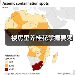 楼房里养桂花掌握要领(图4) 楼房里养桂花掌握要领(图4)