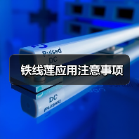 铁线莲应用注意事项（图4）