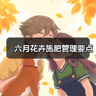 六月花卉施肥管理要点(图3) 六月花卉施肥管理要点(图3)