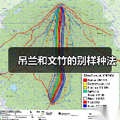 吊兰和文竹的别样种法(图4) 吊兰和文竹的别样种法(图4)