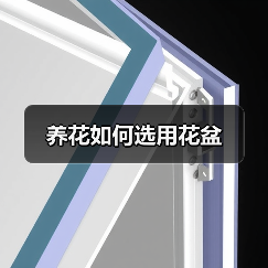 养花如何选用花盆(图2) 养花如何选用花盆(图2)