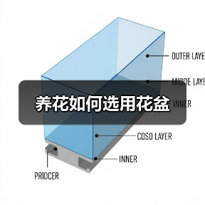 养花如何选用花盆(图4) 养花如何选用花盆(图4)