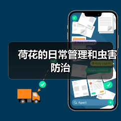 荷花的日常管理和虫害防治(图2) 荷花的日常管理和虫害防治(图2)