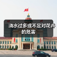 浇水过多或不足对花卉的危害(图4) 浇水过多或不足对花卉的危害(图4)