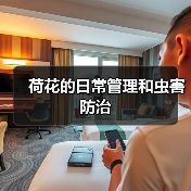 荷花的日常管理和虫害防治(图4) 荷花的日常管理和虫害防治(图4)