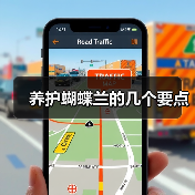 养护蝴蝶兰的几个要点(图3) 养护蝴蝶兰的几个要点(图3)
