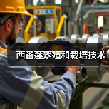 西番莲繁殖和栽培技术(图2) 西番莲繁殖和栽培技术(图2)