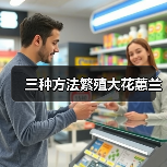 三种方法繁殖大花蕙兰(图4) 三种方法繁殖大花蕙兰(图4)
