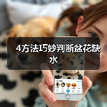 4方法巧妙判断盆花缺水(图4) 4方法巧妙判断盆花缺水(图4)