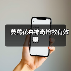 萎蔫花卉神奇抢救有效果(图3) 萎蔫花卉神奇抢救有效果(图3)