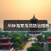 吊钟海棠落花防治措施(图1) 吊钟海棠落花防治措施(图1)