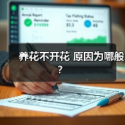 养花不开花 原因为哪般?(图2) 养花不开花 原因为哪般?(图2)