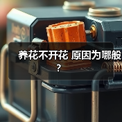 养花不开花 原因为哪般?(图1) 养花不开花 原因为哪般?(图1)