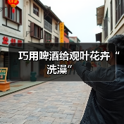 巧用啤酒给观叶花卉“洗澡”(图1) 巧用啤酒给观叶花卉“洗澡”(图1)