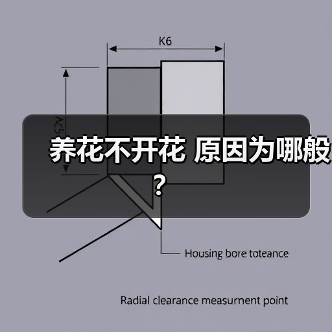 养花不开花 原因为哪般?(图3) 养花不开花 原因为哪般?(图3)