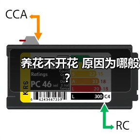 养花不开花 原因为哪般?(图4) 养花不开花 原因为哪般?(图4)