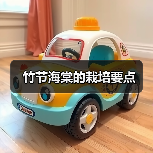 竹节海棠的栽培要点(图3) 竹节海棠的栽培要点(图3)