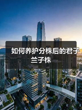 如何养护分株后的君子兰子株(图3) 如何养护分株后的君子兰子株(图3)