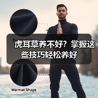 虎耳草养不好?掌握这些技巧轻松养好(图3) 虎耳草养不好?掌握这些技巧轻松养好(图3)