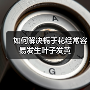 如何解决栀于花经常容易发生叶子发黄(图4) 如何解决栀于花经常容易发生叶子发黄(图4)