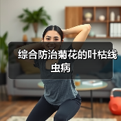 综合防治菊花的叶枯线虫病(图2) 综合防治菊花的叶枯线虫病(图2)