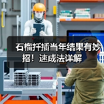 石榴扦插当年结果有妙招!速成法详解(图4) 石榴扦插当年结果有妙招!速成法详解(图4)