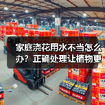 家庭浇花用水不当怎么办?正确处理让植物更健康(图1) 家庭浇花用水不当怎么办?正确处理让植物更健康(图1)