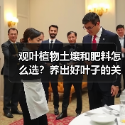 观叶植物土壤和肥料怎么选?养出好叶子的关键(图1) 观叶植物土壤和肥料怎么选?养出好叶子的关键(图1)