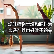 观叶植物土壤和肥料怎么选?养出好叶子的关键(图3) 观叶植物土壤和肥料怎么选?养出好叶子的关键(图3)