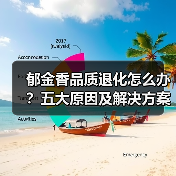 郁金香品质退化怎么办?五大原因及解决方案(图2) 郁金香品质退化怎么办?五大原因及解决方案(图2)