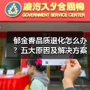 郁金香品质退化怎么办?五大原因及解决方案(图1) 郁金香品质退化怎么办?五大原因及解决方案(图1)