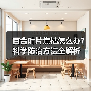 百合叶片焦枯怎么办？科学防治方法全解析（图4）