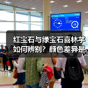 红宝石与绿宝石喜林芋如何辨别?颜色差异是关键(图2) 红宝石与绿宝石喜林芋如何辨别?颜色差异是关键(图2)